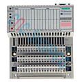 SCHNEIDER ELECTRIC 170ADI54050 Output Module with adaptor 17ONEF11021