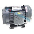 JIA CHENG 80M 3PH Induction motor Hollow keyed Shaft 12.7mm