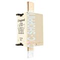 LEGRAND 173 60 gG 200A 500V Fuse